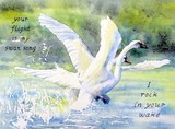 by Claire Bartlett