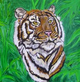 by Pam Schmidt