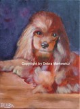 by Debra Kaye Markewicz