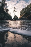 by TJ Parliament
