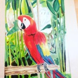 by yubirna paulino