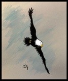 by JD Pearce