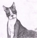 by Jenny N