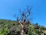 by Sree Ranjitha