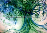by Caroline Kelly