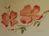 by Dora Gourley