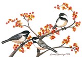 by Laura Horning