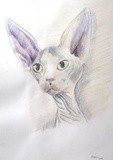 by Jose Antonio Higuero