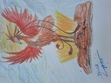 by Hiba Bensaid