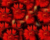 by Pepita Selles