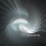 by Anne Vis