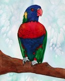 by Nancy Woolweber