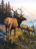 by J.H. (Jerry) Johnson