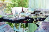 by Yvonne Carter
