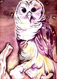 by Aatisha Singh