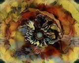 by Ginger Olansen
