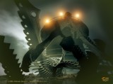 by Mirek Drozd