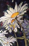 by Caroline A. Doucette