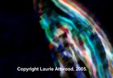 by Laurie Attwood