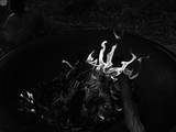 by Brian Tate