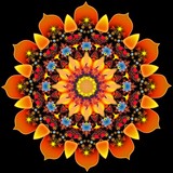 by Orchid Mandala