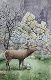 by Robert McCoy