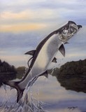 by Tanya Ray