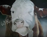 by Robert Ryan