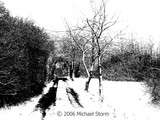 by Michael Storm