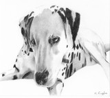 by Karen Ruffles