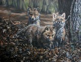 by Katie Z
