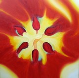 by Cherie Sullivan