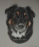 by Joanne Simpson-Connor