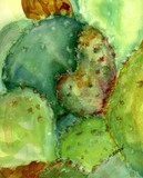 by Marilyn Barton