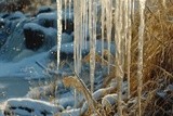 by VELYKIO - gintautas velykis -