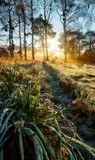 by VELYKIO - gintautas velykis -
