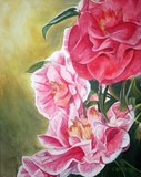 by Cyndi Brewer