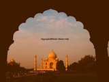 by Pavitra Chaturvedi