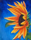 by Susie Bell