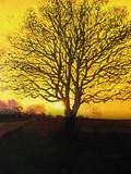 by David Hipwell