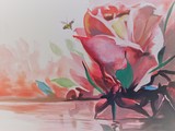by lisandro rodriguez