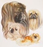 by Barbara Keith