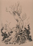 by Socar Myles