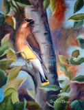 by Brenda Thour