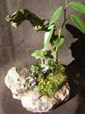 by Pedra Viva mini jardins