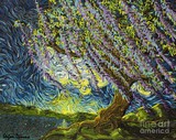 by stefan duncan