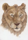 by A L Tipton