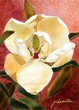 by Joan A Hamilton