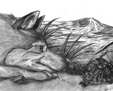 by Lauren Maxwell