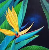 by Elsa Gallegos